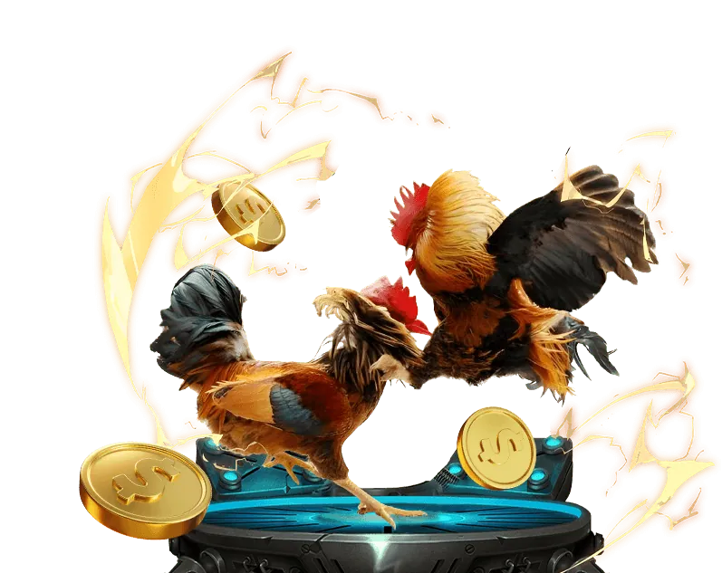 Cá cược quần vợt lô đê 88